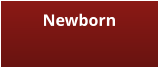 Newborn