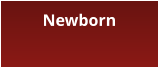 Newborn