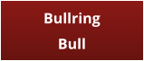 Bullring Bull