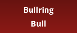 Bullring Bull