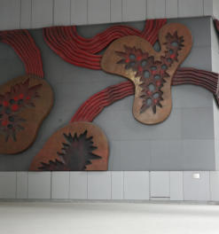 Pembungaan Kamahi Nahapan