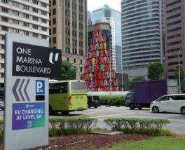 Momentum by David Gerstein 